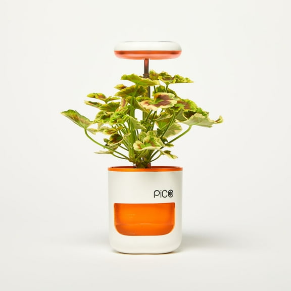 PICO Planter