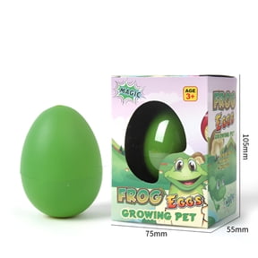 PIKACHY Water Activated Hatching Eggs Grow In Water Educational Toy Eggs For Kids Unicorn Dolphin Dinosaur Mermaid Sloth Rabbit Duck Frog Variants