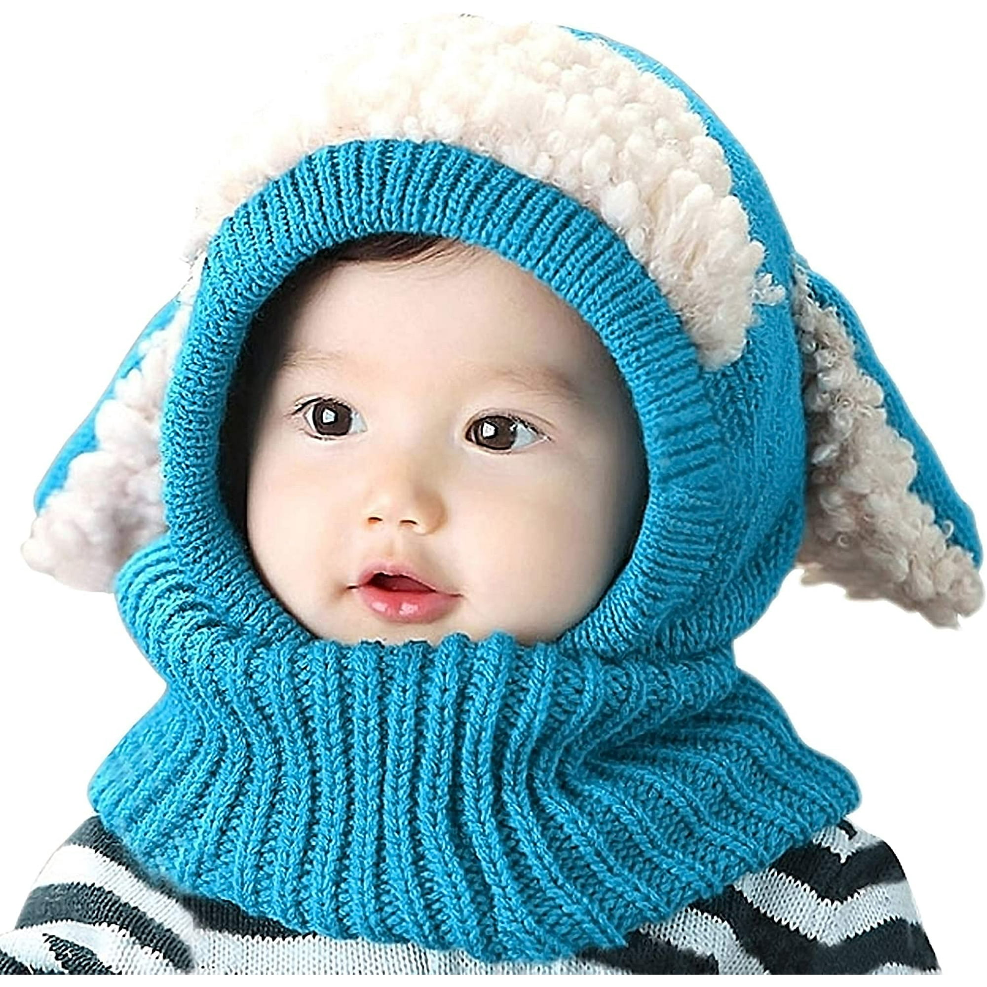 Winter Hat Hoodie