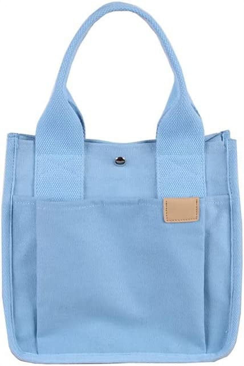 Sky Blue Leather Ladies Purse at Rs 1350/piece | Ladies Handbag in Kolkata  | ID: 2852873763591