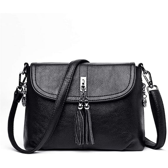 PIKADINGNIS Crossbody Bag for Women with Tassel Functional Shoulder Purse Saddle Messenger Bag
