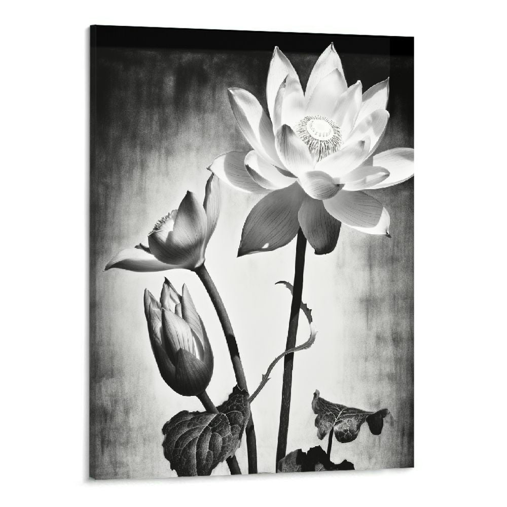 PIKWEEK Black & White Flower Wall Art Lotus Close-up Painting on Canvas ...