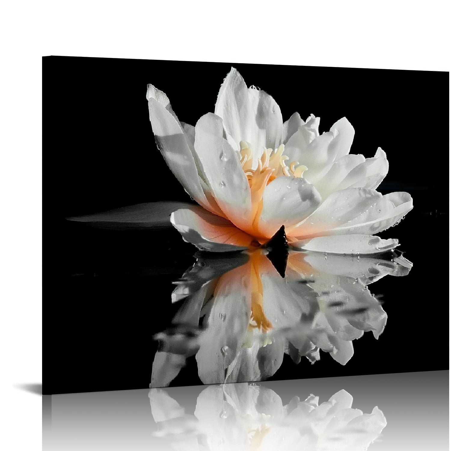 Wuche Black and White Wall Art for bathroom Lotus Flower Canvas Wall ...