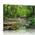 thumbnail image 1 of PIKWEEK  Canvas Print Wall Art River Through The Green Forest Nature Wilderness Photography Modern Art Rustic Scenic Colorful Multicolor for Living Room, Bedroom 16*12inch/20*16inch, 1 of 6