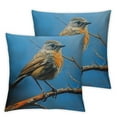 thumbnail image 1 of PIKWEEK  Decor Pillows Robin Bird Pillowcase Rustic Animal Bird Decorative Square Covers Home Decor for Outdoor Home Decor Decorative Throw Pillows Spring Farmhouse Decor  2pc, 1 of 6