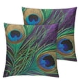 thumbnail image 1 of PIKWEEK Peacock Pattern Peacock Feather Throw Pillow Cover, Set of 2 Short Plush Material Sofa Throw Pillow Covers, Car Throw Pillow Covers, Multiple Specifications, 1 of 7