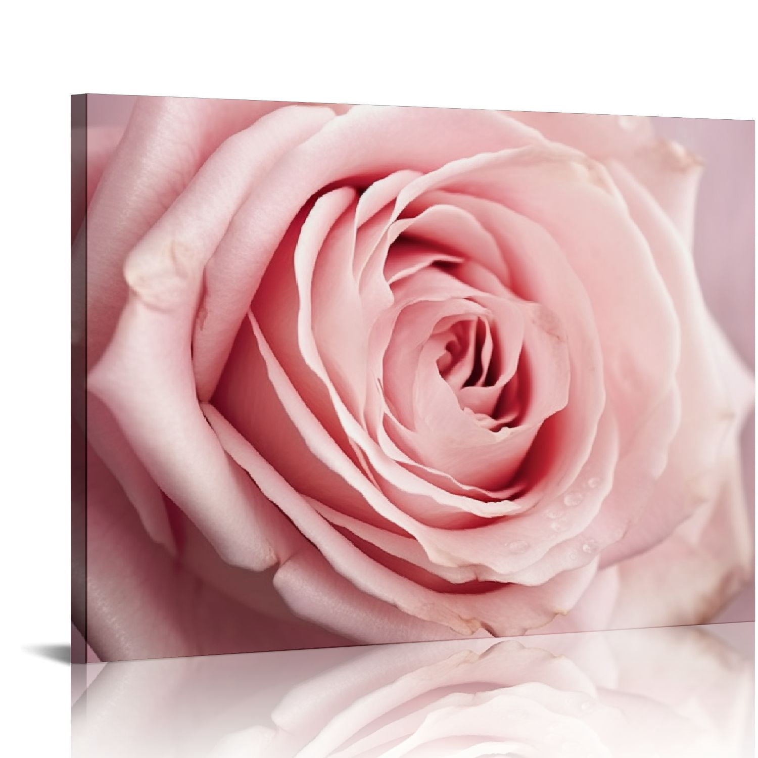 PIKWEEK Pink Bathroom Decor Pink Rose Close Up Canvas Wall Art Blush ...