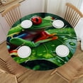 thumbnail image 1 of PIKWEEK  Red Eyed Tree Frog Jungle Leaf Round Fitted Tablecloth Elastic Edge Waterproof Oil-Proof Table Cover Stain-Resistant Table Cloth Fits Round Tables, 1 of 7