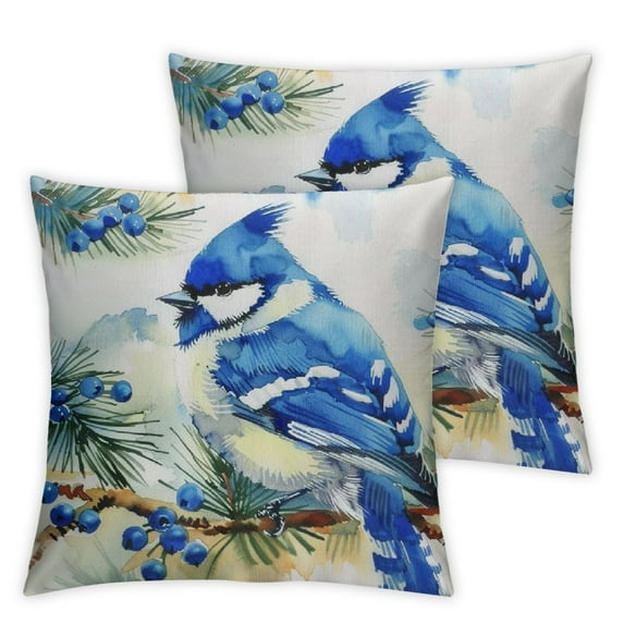 PIKWEEK Watercolor Bird Blue Throw Pillow Covers Pillow Cover Throw Pillow Cases Double Sided Plush Pillow Covers Decorative Throw Pillows Covers for Couch Living Room Bedroom 2pc