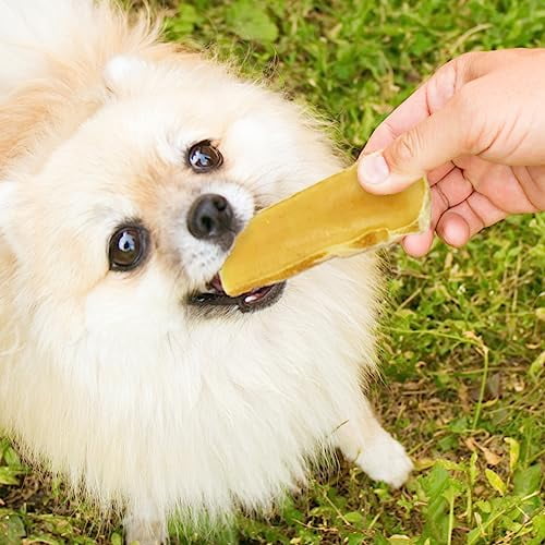 PIMA Canine Cheese Chews, Natural Yak Chews for Dogs 15 lbs or