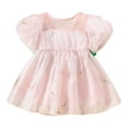 thumbnail image 1 of PINQI Summer Toddler Girls Sundress Little Girls Short Sleeve Floral Embroidery Tulle Dress Dance Party Princess Dresses Clothes, 1 of 9