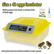 PIT66 Digital Automatic Temperature Controlled 48 Chicken Egg Incubator with Candler