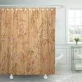 thumbnail image 1 of PKNMT Beige Old Vintage Golden Run Down Victorian with Baroque Floral Pattern Brown Wall Shower Curtain Bath Curtain 66x72 inch, 1 of 1