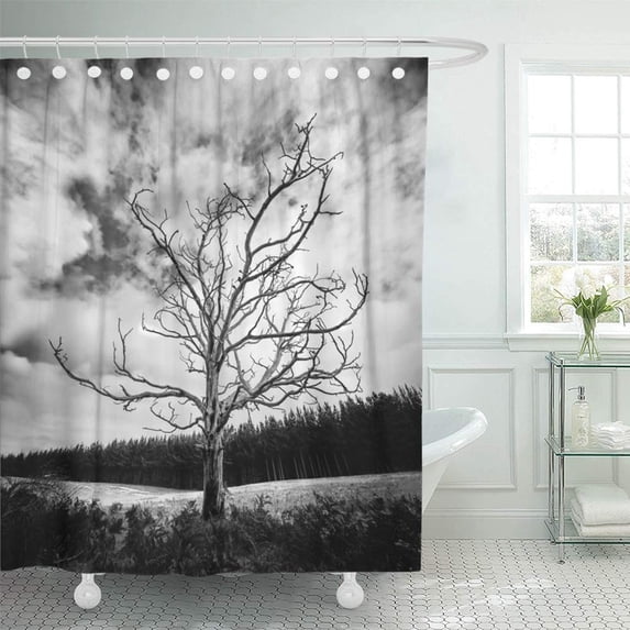 PKNMT Black and White Alone Dead Tree with Dramatic Sky and Pine Plantation in The Shower Curtain Bath Curtain 66x72 inch