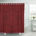thumbnail image 1 of PKNMT Burgundy Detailed Red Floral This is Classy Damask Vine Royal Elegant Vintage Bathroom Shower Curtains 60x72 inch, 1 of 1