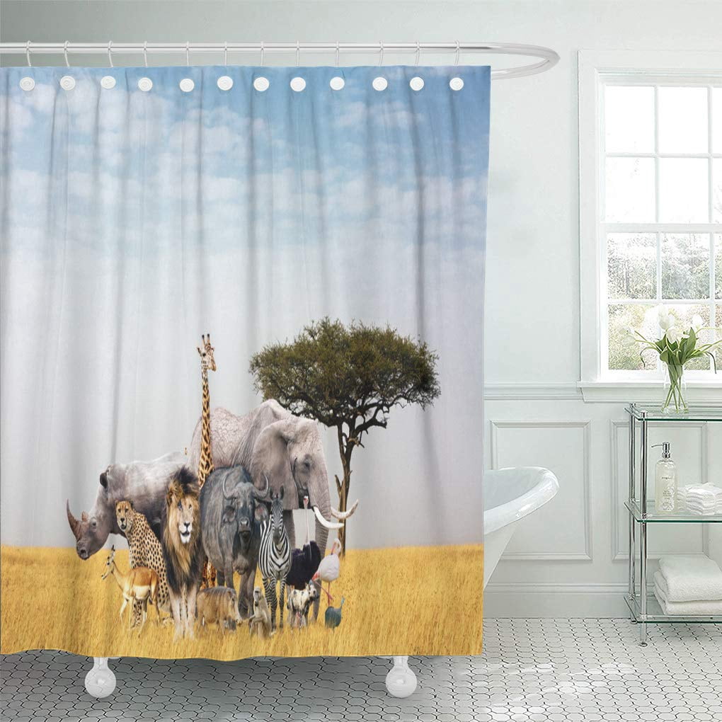 PKNMT Large Group of African Safari Animals Composited Together in Open ...