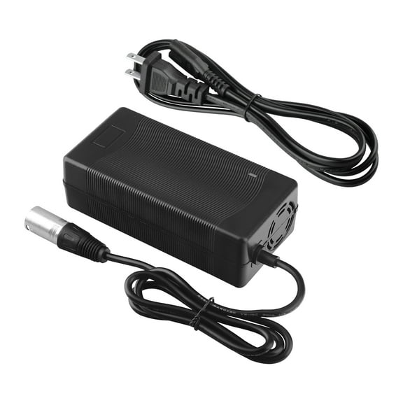 PKPOWER 29V 5A AC Adapter Charger for Rascal MicroBalance 170, UltraLite 370, We Go 250, We Go 255(SLA Battery Charger)