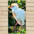 thumbnail image 1 of PKQWTM A male cattle egret perching in a tree in a Florida wetland Microfiber Bath Towels Bathroom Body Shower Towel Size 30x56 Inches, 1 of 1