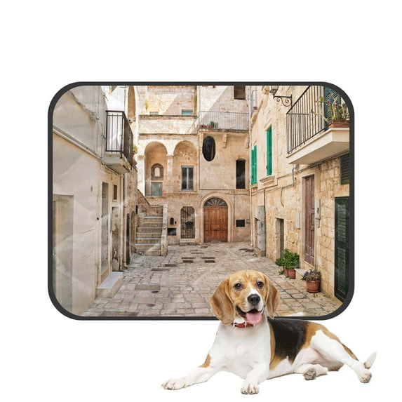 PKQWTM Alleyway Polignano a mare Puglia Italy Pet Dog Cat Bed Pee Pads Mat Cushion Potty Dogs Blankets Crate Bed Kennel 20x24 inch