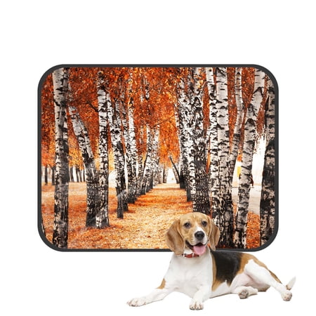PKQWTM Autumn Birch Forest Fall Prime Pet Dog Cat Bed Pee Pads Mat Cushion Potty Dogsblankets Crate Bed Kennel 20x24 inch