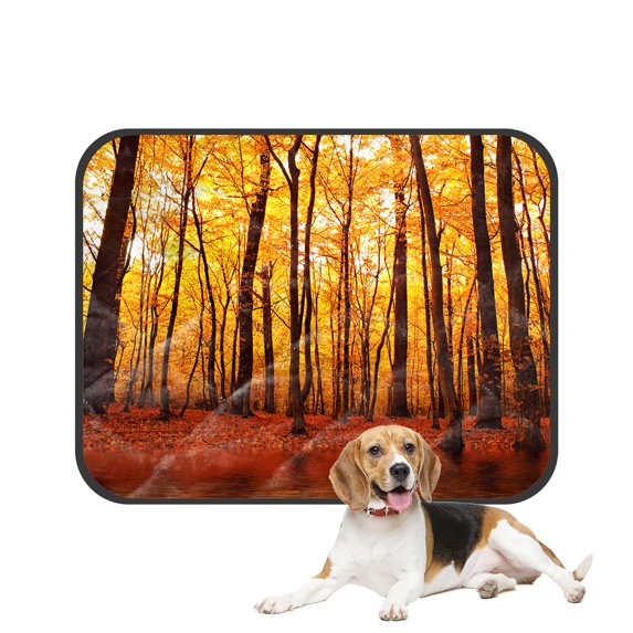 PKQWTM Autumn Forest Lake Birch Trees Pet Dog Cat Bed Pee Pads Mat Cushion Potty Dogsblankets Crate Bed Kennel 36x48 inch