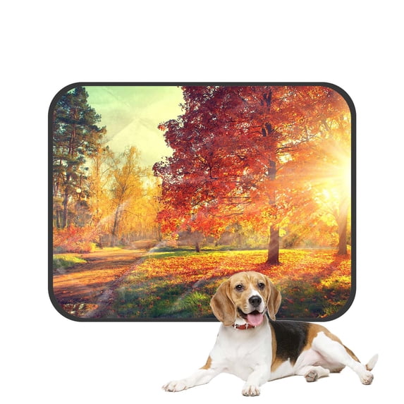 PKQWTM Autumn Park Scene Fall Trees and Leaves Pet Dog Cat Bed Pee Pads Mat Cushion Potty Dogsblankets Crate Bed Kennel 36x48 inch
