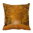 thumbnail image 1 of PKQWTM Beautiful Autumn Lane In The Forest Bed Decor Pillow Cases Zippered Cushion Cover Size 18x18 Inches, 1 of 1