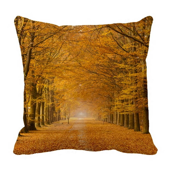 PKQWTM Beautiful Autumn Lane In The Forest Bed Decor Pillow Cases Zippered Cushion Cover Size 18x18 Inches