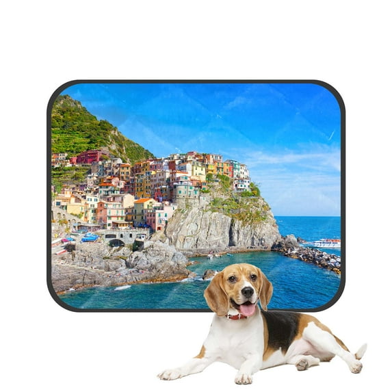 PKQWTM Beautiful Colorful Cityscape on the Mountains Pet Dog Cat Bed Pee Pads Mat Cushion Potty Dogsblankets Crate Bed Kennel 28x36 inch
