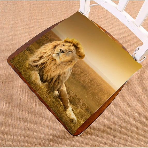 PKQWTM Big Male Lion Lying Grass Chair Pads Chair Mat Seat Cushion Chair Cushion Floor Cushion Size 16x16 inches
