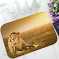 thumbnail image 1 of PKQWTM Big Male Lion Lying Grass Home Decor Floor Mat Area Rug Doormat Size 15.7x23.6 Inches, 1 of 1
