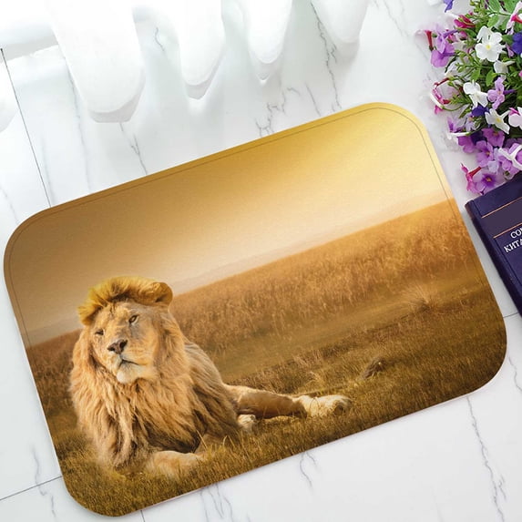 PKQWTM Big Male Lion Lying Grass Home Decor Floor Mat Area Rug Doormat Size 15.7x23.6 Inches