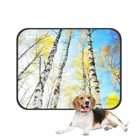 PKQWTM Birch Forest Sunlight Pet Dog Cat Bed Pee Pads Mat Cushion Potty Dogsblankets Crate Bed Kennel 20x24 inch