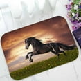 thumbnail image 1 of PKQWTM Black Friesian horse gallop Home Decor Floor Mat Area Rug Doormat Size 15.7x23.6 Inches, 1 of 1