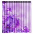thumbnail image 1 of PKQWTM Blue Irises Against A Green Grass A Summer Butterfly WaterProof Polyester Fabric Shower Curtain Size 66x72 Inches, 1 of 1