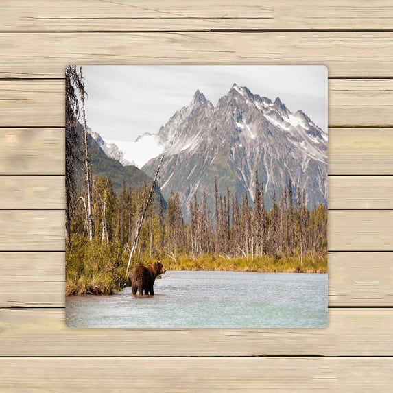 PKQWTM Brown Bear Hunting Fish Beautiful Alaskan Landscape Microfiber Bath Towels Bathroom Body Shower Towel Size 13x13 Inches