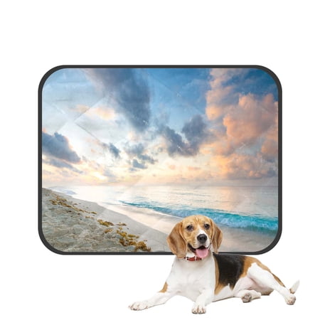 PKQWTM Caribbean beach in Playacar of Mexico Pet Dog Cat Bed Pee Pads Mat Cushion Potty Dogs Blankets Crate Bed Kennel 14x18 inch