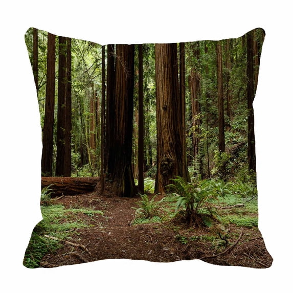 PKQWTM Coastal Redwood Trees National Monument Part Bed Decor Pillow Cases Zippered Cushion Cover Size 16x16 Inches