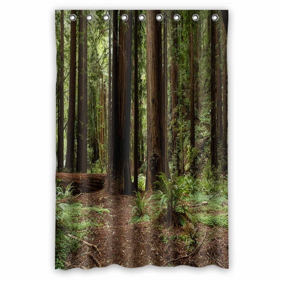 PKQWTM Coastal Redwood Trees National Monument Part WaterProof Polyester Fabric Shower Curtain Size 48x72 Inches