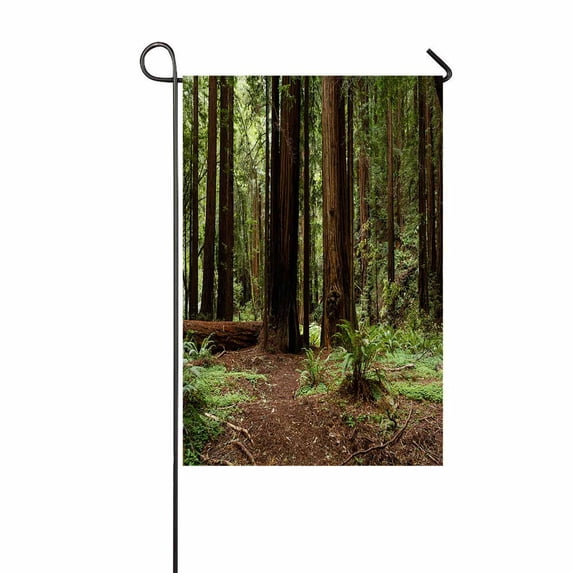 PKQWTM Coastal Redwood Trees National Monument Part Yard Decor Home Garden Flag Size 28x40 Inches