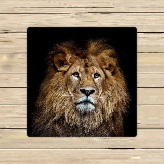 PKQWTM Color Lion Portrait Microfiber Bath Towels Bathroom Body Shower Towel Size 13x13 Inches