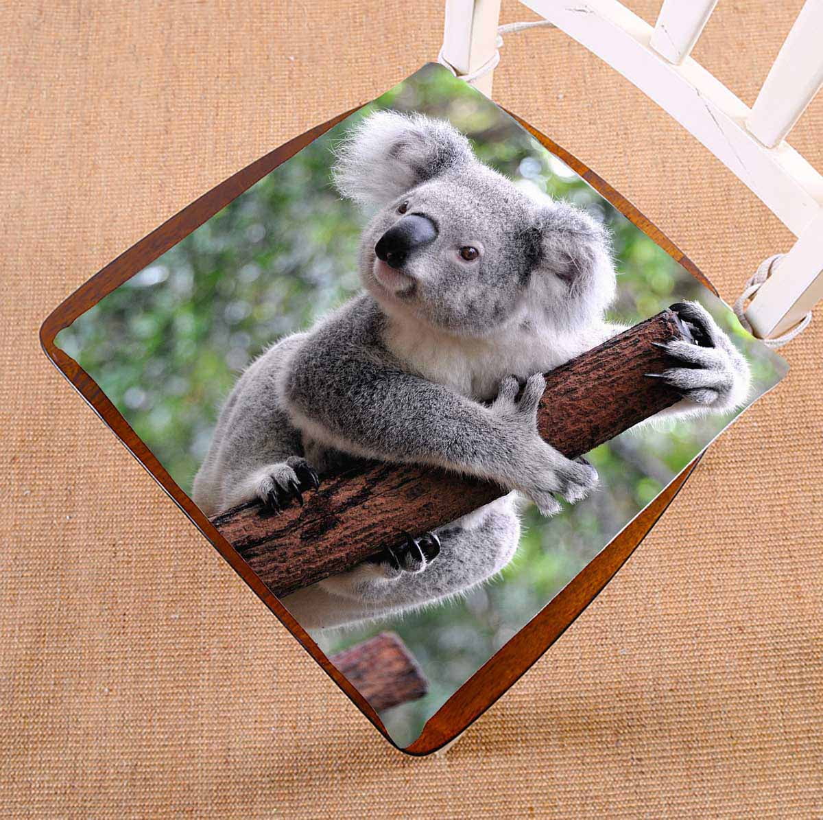 PKQWTM Curious koala Chair Pads Chair Mat Seat Cushion Chair