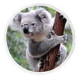thumbnail image 1 of PKQWTM Curious koala Round Beach Towel Beach Mats Shawl Blanket Yoga Mat with Tassels Beach Throw Towel, 1 of 1