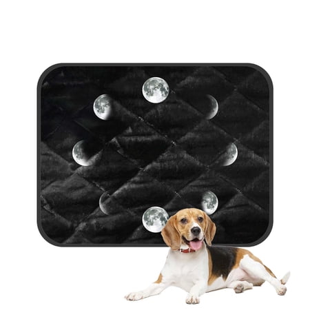 PKQWTM Cycle Of The Moon A Circle Of The Growing Moon Pet Dog Cat Bed Pee Pads Mat Cushion Potty Dogs Blankets Crate Bed Kennel 28x36 inch