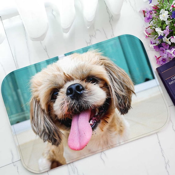 PKQWTM Dog Face Wait Its Food Home Decor Floor Mat Area Rug Doormat Size 15.7x23.6 Inches