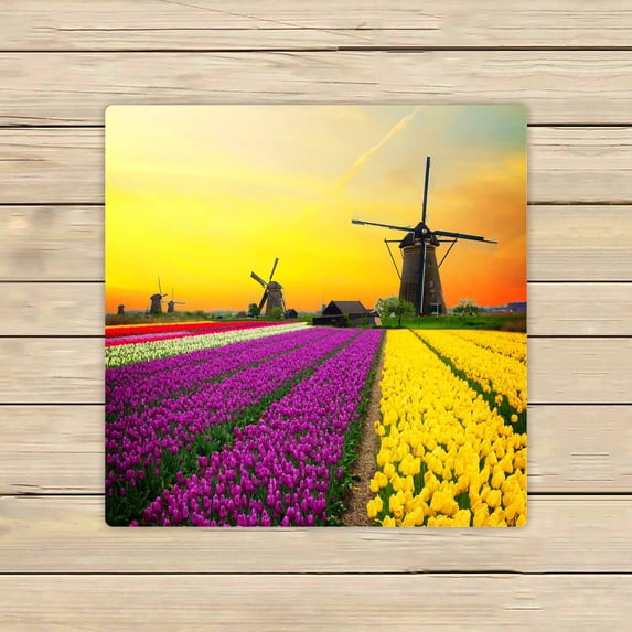 PKQWTM Dutch Windmill Violet Yellow Holland Tulips Field Sunset Netherlands Microfiber Bath Towels Bathroom Body Shower Towel Size 13x13 Inches