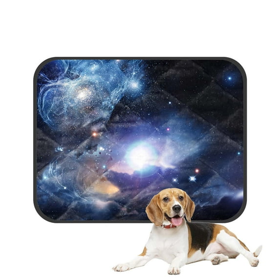 PKQWTM Fantasy Space Nebula Pet Dog Cat Bed Pee Pads Mat Cushion Potty Dogsblankets Crate Bed Kennel 25x30 inch