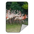 thumbnail image 1 of PKQWTM Flamingo Birds Standing Blanket Crystal Velvet Throw Bed Blanket 58x80 inches, 1 of 1
