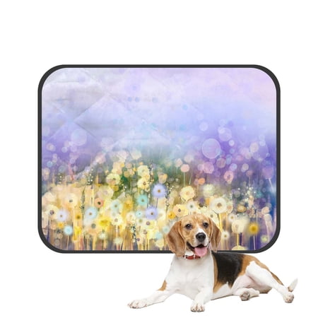 PKQWTM Flowers Plant Dandelion Fields Meadow Landscape Wildflower Sky Pet Dog Cat Bed Pee Pads Mat Cushion Potty Dogsblankets Crate Bed Kennel 36x48 inch