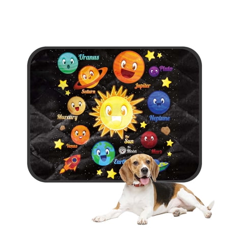 PKQWTM Funny Kids Education Planet Character Elements Pet Dog Cat Bed Pee Pads Mat Cushion Potty Dogsblankets Crate Bed Kennel 20x24 inch